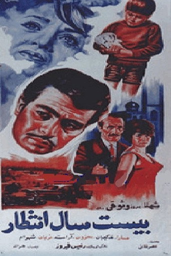 Twenty Years of Waiting movie poster