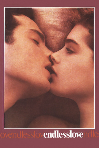 Endless Love movie poster