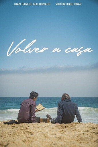 Volver a casa movie poster