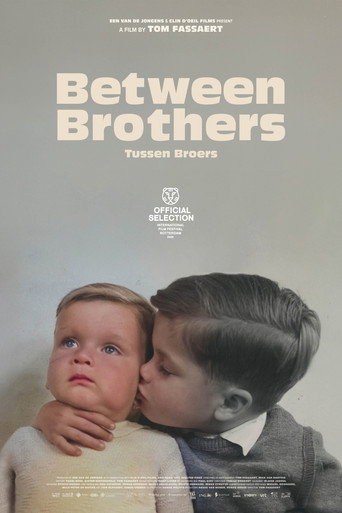 Between Brothers movie poster