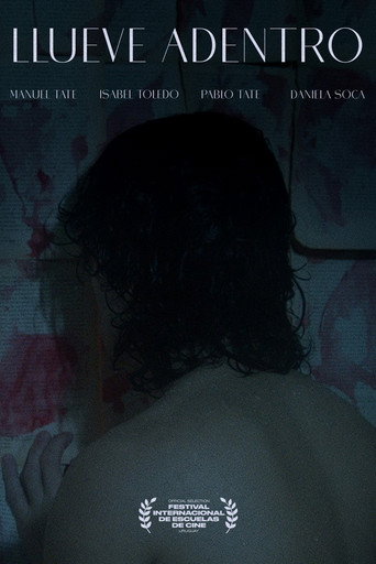 Llueve adentro movie poster