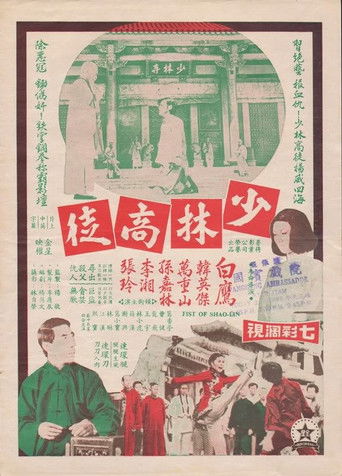Fist of Shaolin movie poster