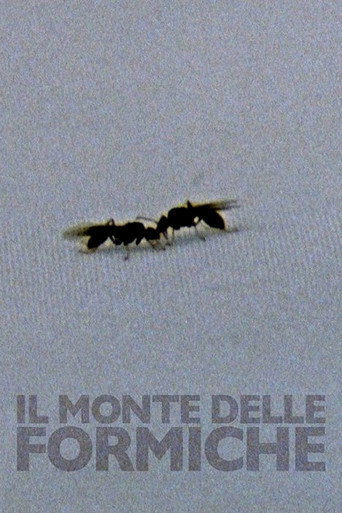 The Mount of Ants movie poster