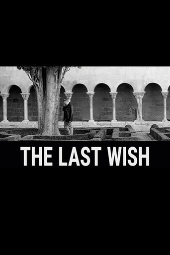 The Last Wish movie poster