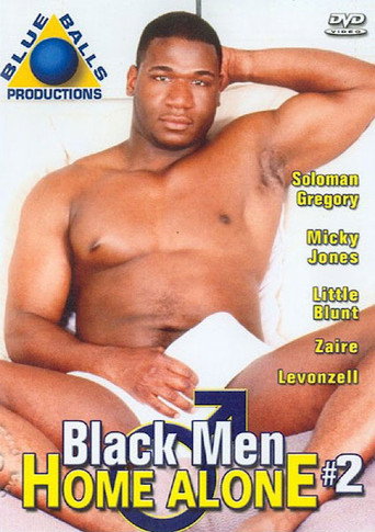 Black Men Home Alone 2 movie poster
