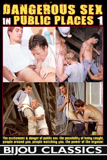 Dangerous Sex in Public Places 1 movie poster