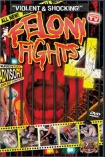 Felony Fights 4: Down and Dirty movie poster