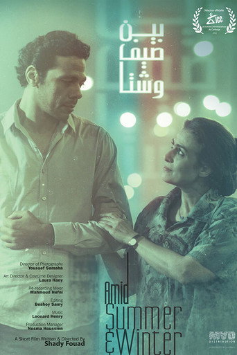 Amid Summer & Winter movie poster