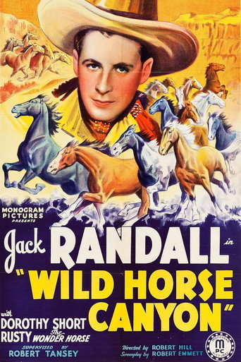 Wild Horse Canyon movie poster