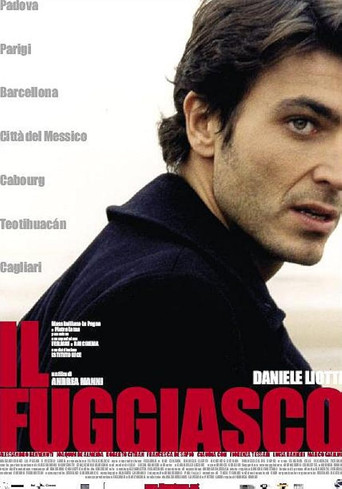 The Fugitive movie poster