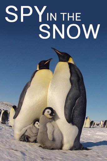 Spy in the Snow movie poster