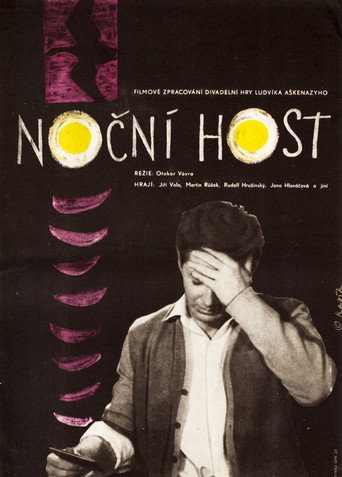 The Night Guest movie poster