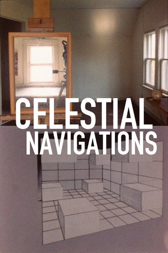 Celestial Navigation movie poster