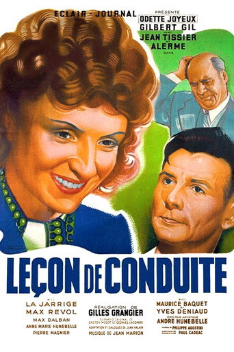Driving Lesson movie poster