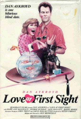 Love at First Sight movie poster