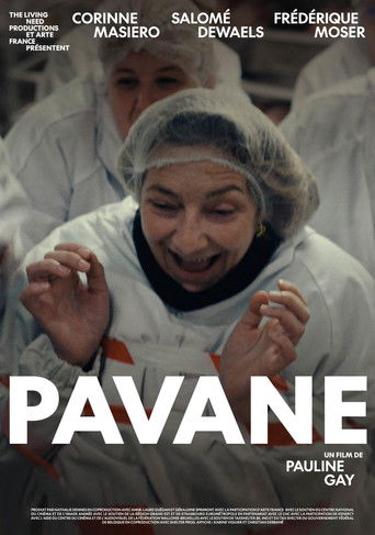 Pavane movie poster