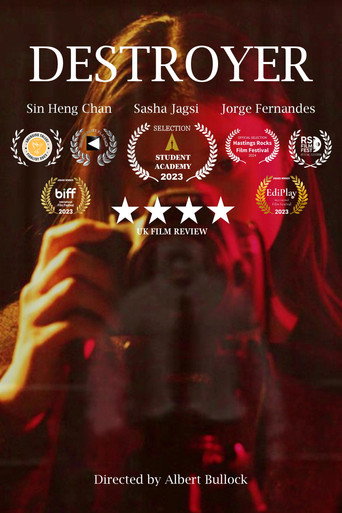 Destroyer movie poster