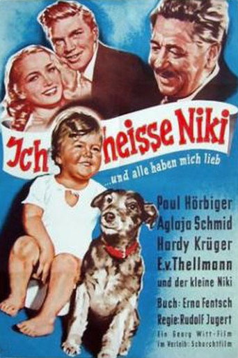 My Name is Niki movie poster