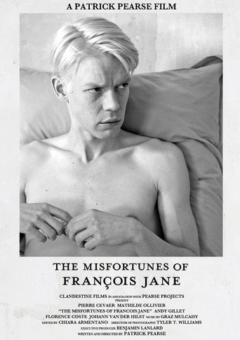 The Misfortunes of François Jane movie poster