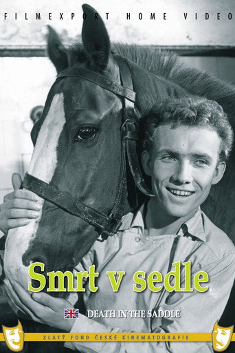 Death in the Saddle movie poster