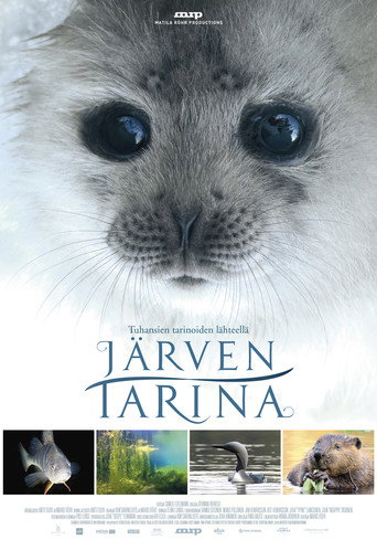 Tale of a Lake movie poster