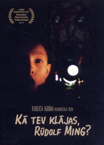 How Are You Doing, Rudolf Ming? movie poster