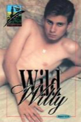 If Six Boys Have Sex movie poster