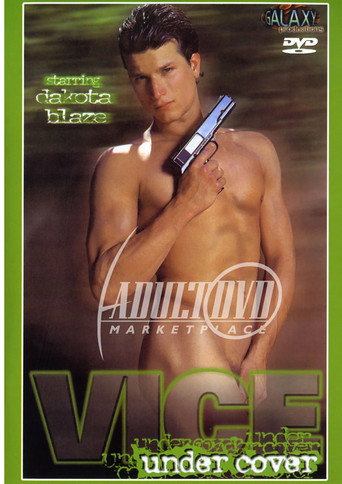 Vice Undercover movie poster