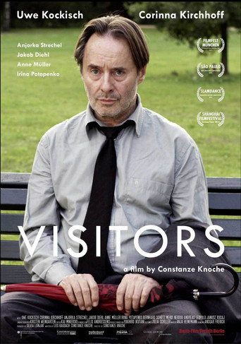 Visitors movie poster