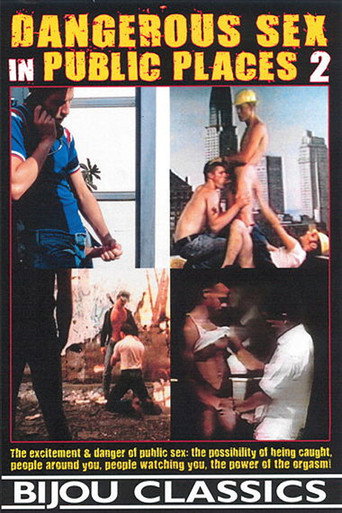 Dangerous Sex in Public Places 2 movie poster
