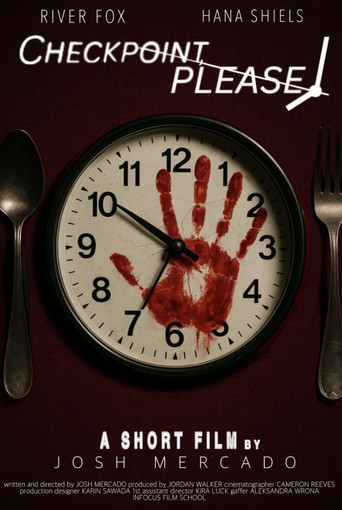 Checkpoint, Please! movie poster
