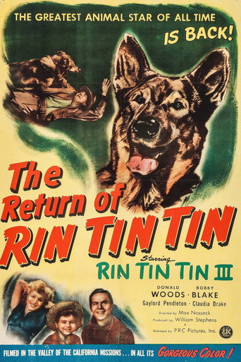 The Return of Rin Tin Tin movie poster