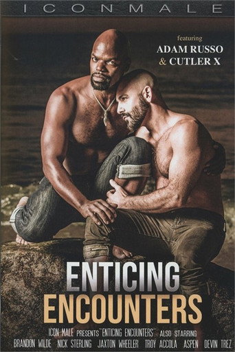 Enticing Encounters movie poster