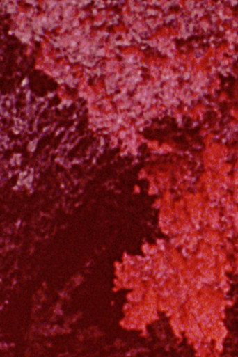 600 Minutes: Magenta movie poster