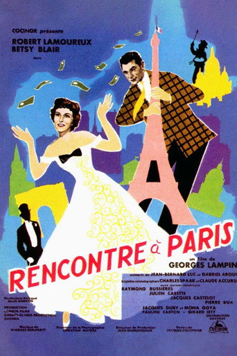 Meeting in Paris movie poster