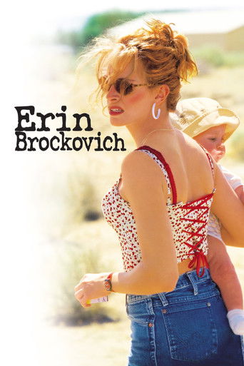 Erin Brockovich movie poster