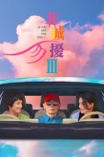 If You Are the One 3 movie poster
