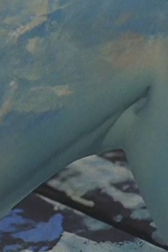 Swan’s Island movie poster