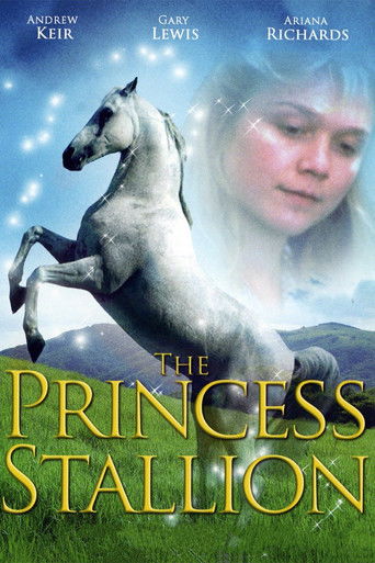 The Princess Stallion movie poster