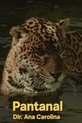 Pantanal movie poster