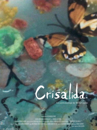 Crisálida movie poster