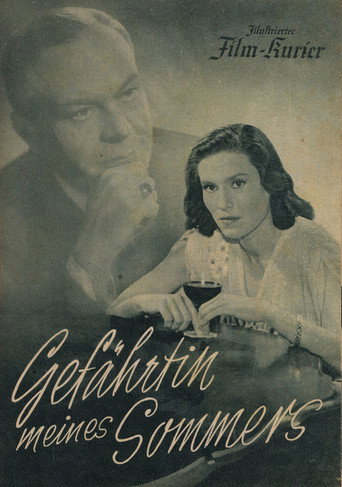 My Summer Companion movie poster