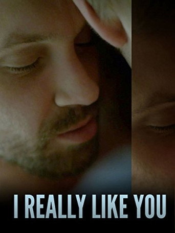 I Really Like You movie poster