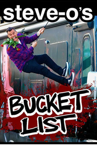 Steve-O's Bucket List movie poster