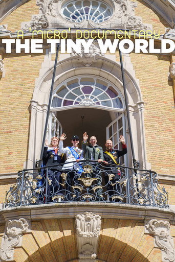The Tiny World movie poster