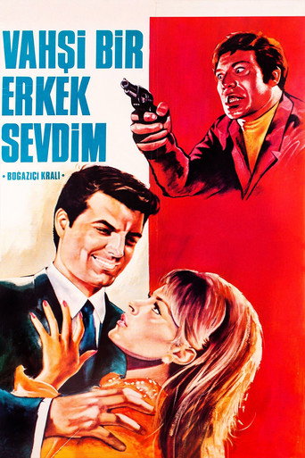 Vahşi Bir Erkek Sevdim movie poster