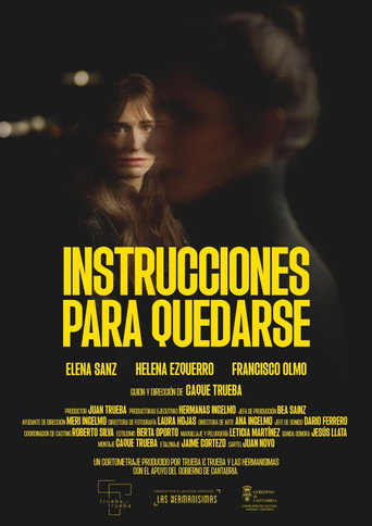 Instrucciones para quedarse movie poster