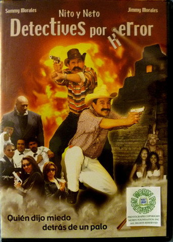 Detectives por error movie poster