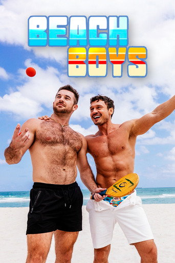 Beach Boys movie poster