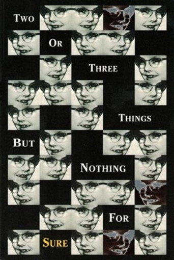 2 or 3 Things But Nothing for Sure movie poster